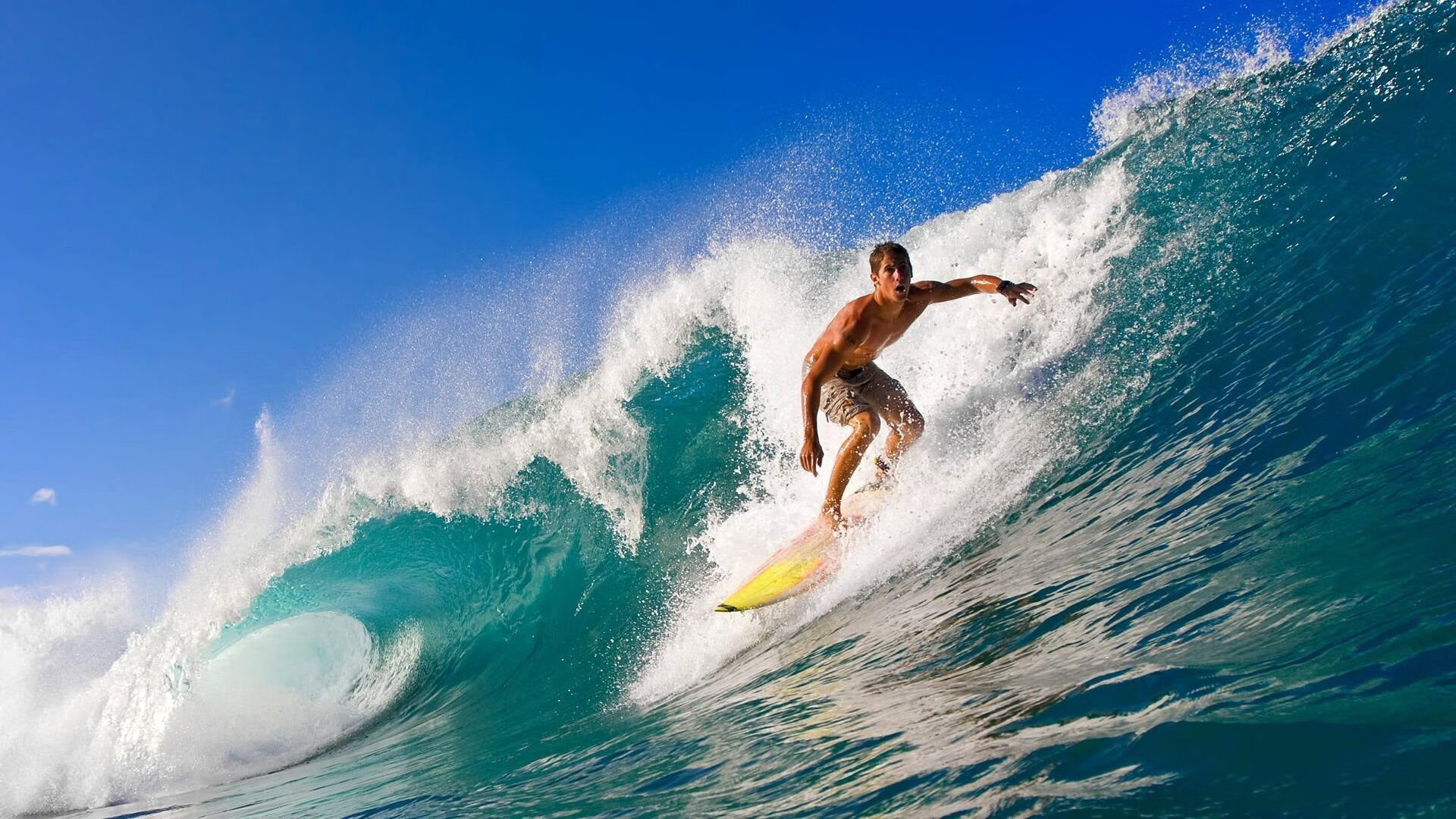 AYX GAMING-德甲积分榜激烈变化，多支豪门争前列，德甲积分2020-2021